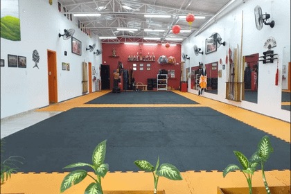 Imagem 3 da galeria do parceiro Escola de Kung Fu Leão Chines