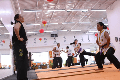 Imagem 4 da galeria do parceiro Escola de Kung Fu Leão Chines