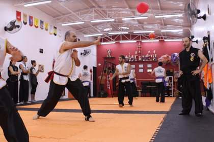 Imagem 6 da galeria do parceiro Escola de Kung Fu Leão Chines