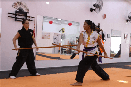 Imagem 7 da galeria do parceiro Escola de Kung Fu Leão Chines