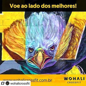 Imagem 5 da galeria do parceiro Wohali Crossfit Sudoeste
