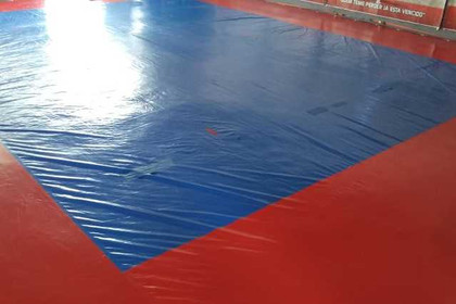 Imagem 3 da galeria do parceiro Dojo Katayama