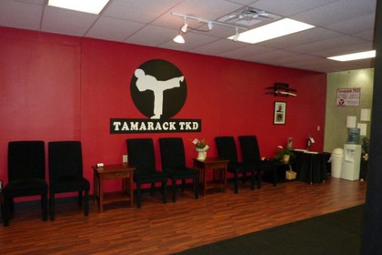 Image 2 from Tamarack TKD Martial Arts Studio partner gallery
