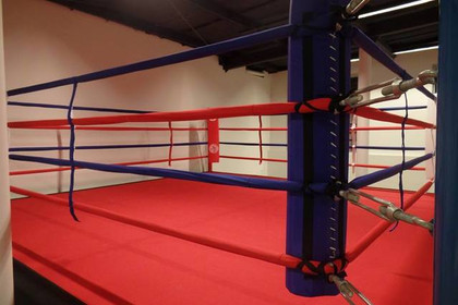 Imagen 5 de la galería del partner Contender Ñuñoa