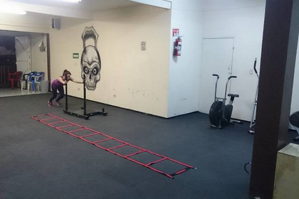 Imagen 2 de la galería del partner Skal Fit