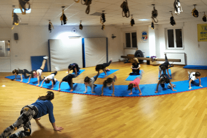 Immagine 2 dalla galleria del partner Dinamic Gym