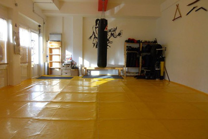 Bild 2 von WTEO Kampfkunstschule Eschborn Partnergalerie
