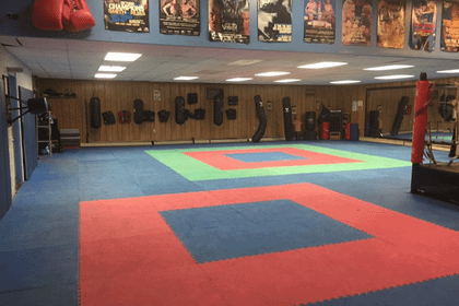 Image 1 from Rat Pack Fighting Systems partner gallery