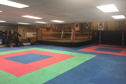 Image 3 from Rat Pack Fighting Systems partner gallery