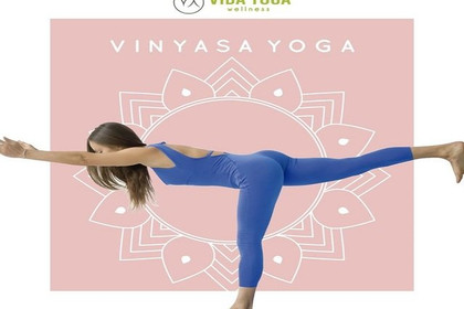 Imagen 2 de la galería del partner VIDA YOGA WELLNESS