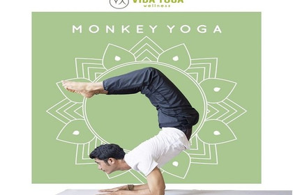 Imagen 3 de la galería del partner VIDA YOGA WELLNESS