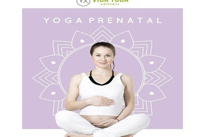 Imagen 4 de la galería del partner VIDA YOGA WELLNESS