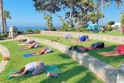 Image 1 from Yoga at the Whale partner gallery