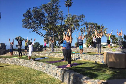 Image 4 from Yoga at the Whale partner gallery