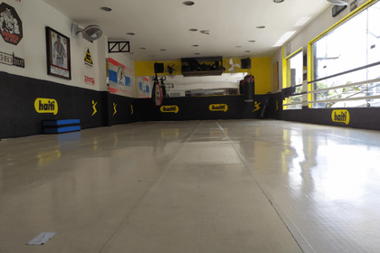 Imagem 4 da galeria do parceiro Arena School Fight