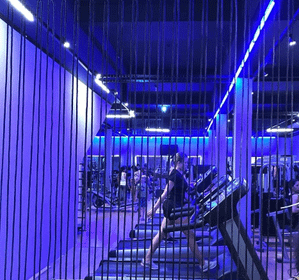 Imagem 1 da galeria do parceiro Forte Fit