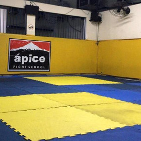 Imagem 3 da galeria do parceiro Ápice Fight School