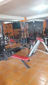 Imagen 4 de la galería del partner Esparza Osos Gym