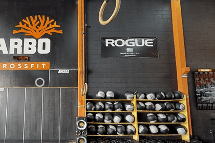 Imagem 4 da galeria do parceiro Arbo CrossFit