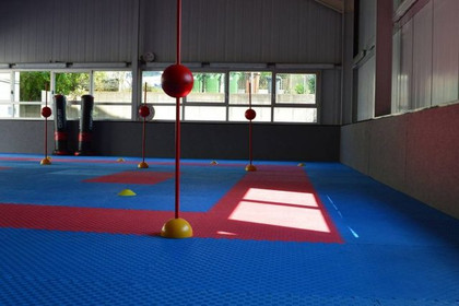 Bild 2 von KARATE CENTRUM RHEIN-NECKAR HONBU DOJO Partnergalerie
