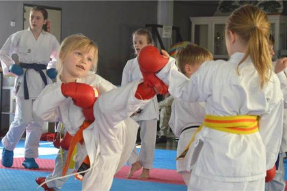 Bild 4 von KARATE CENTRUM RHEIN-NECKAR HONBU DOJO Partnergalerie