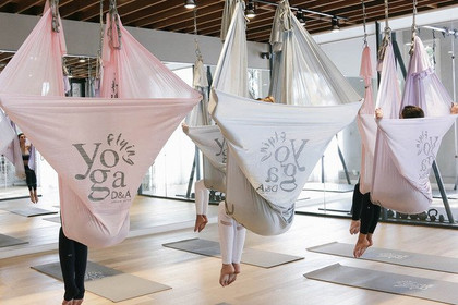 Image 2 from D&A Flying Yoga partner gallery