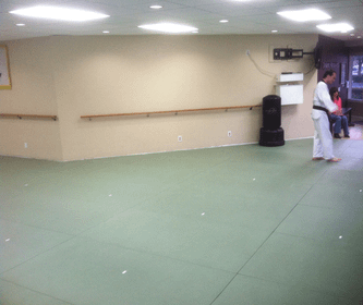 Image 1 from Dynamic Martial Arts partner gallery