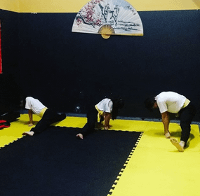 Imagem 1 da galeria do parceiro Shuo Jin Kung Fu
