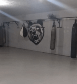 Imagem 3 da galeria do parceiro Panda Fight Team