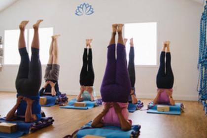 Image 1 from Iyengar Yoga Sarasota partner gallery