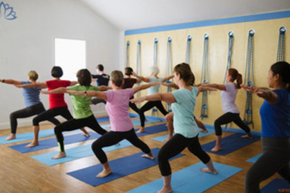 Image 3 from Iyengar Yoga Sarasota partner gallery