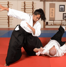Image 1 from Traditional Aikido Sarasota partner gallery