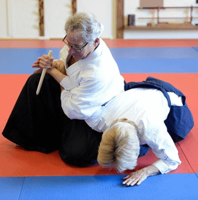 Image 3 from Traditional Aikido Sarasota partner gallery