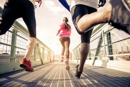 Bild 1 von LiVeri-Gym Partnergalerie