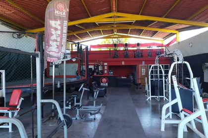 Imagen 1 de la galería del partner MMA Los Mochis