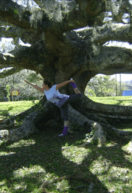 Imagem 7 da galeria do parceiro Alessandra Bairros Rodrigues