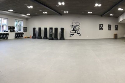 Image 3 from Action Karate South Philly partner gallery