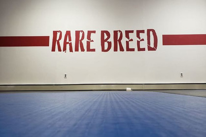 Image 1 from Rare Breed Mixed Martial Arts partner gallery