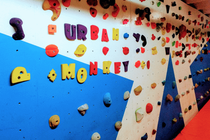 Imagen 5 de la galería del partner Urban Monkey