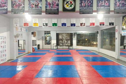 Imagen 1 de la galería del partner ACADEMIA DE ENTRENAMIENTO FUNCIONAL Y TAEKWONDO ATA