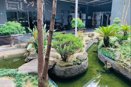 Imagem 11 da galeria do parceiro Foxx Academia