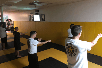 Image 5 from Seven Star Kung Fu Academy partner gallery