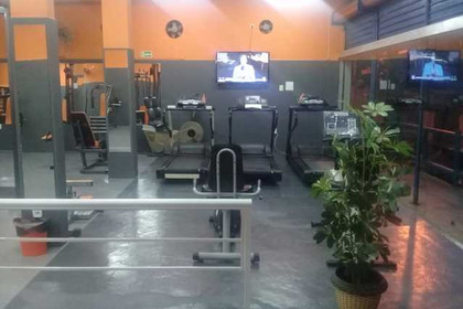 Imagem 9 da galeria do parceiro Studio X-M21
