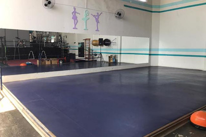Imagem 4 da galeria do parceiro Iron Shark Academia