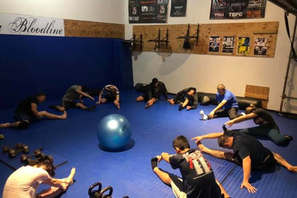 Image 1 from Tru Bloodline MMA and Fitness partner gallery