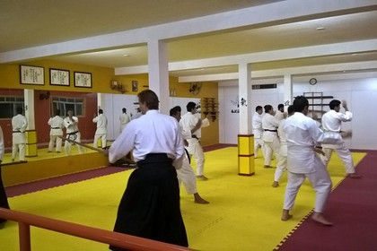 Imagem 3 da galeria do parceiro Dojo Samuru Aikido
