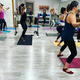 Image 5 from Sea Barre Fitness partner gallery