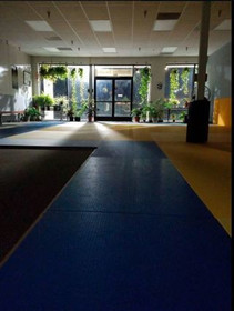 Image 2 from Big Break Brazilian Jiu-Jitsu partner gallery
