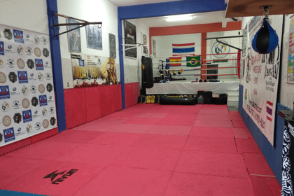 Imagem 2 da galeria do parceiro CT Pako Thai Team Maldonado