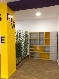Imagem 3 da galeria do parceiro WOL Pilates Asa Sul